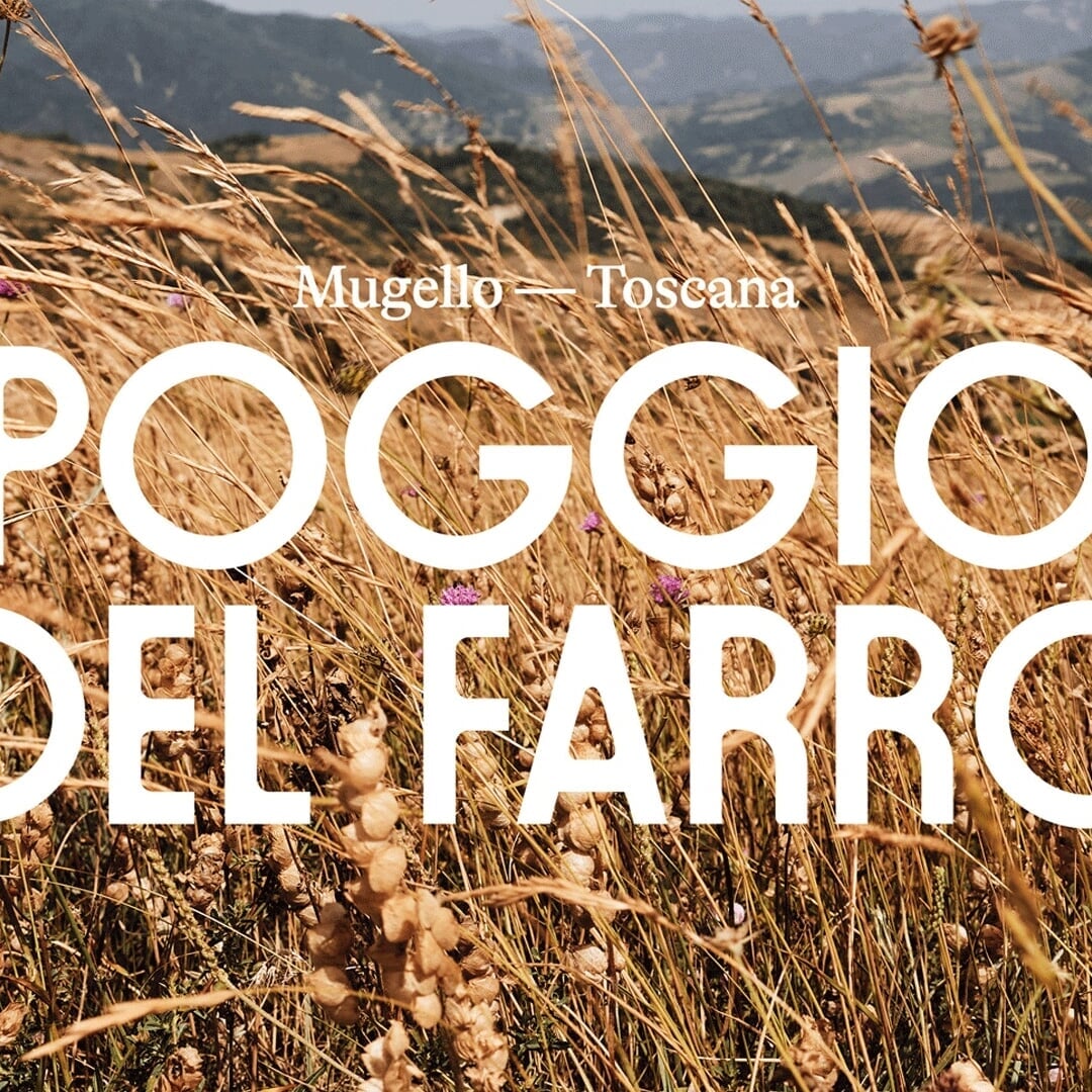 Brand Identity and Packaging for an Italian Emmer Producer