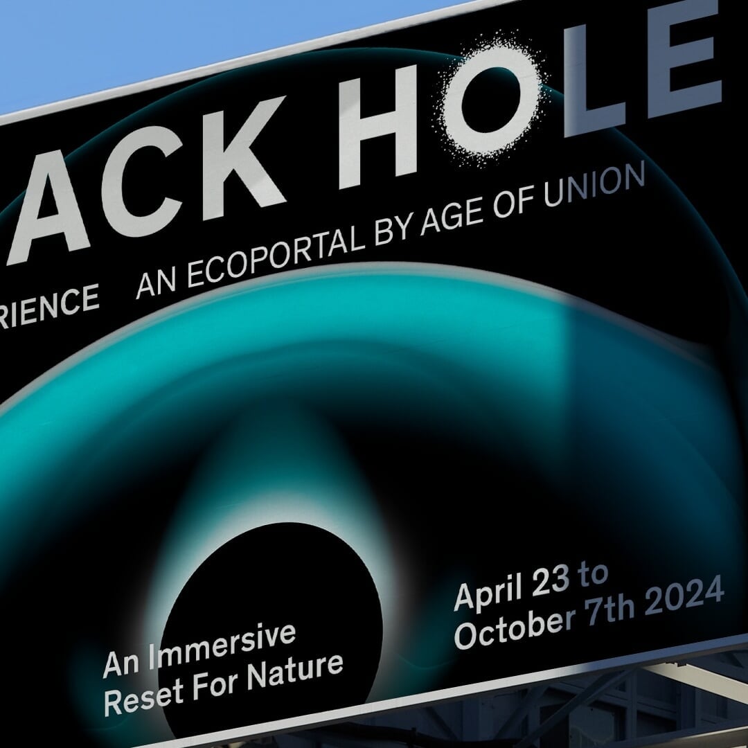 Identity and Campaign for Black Hole Experience