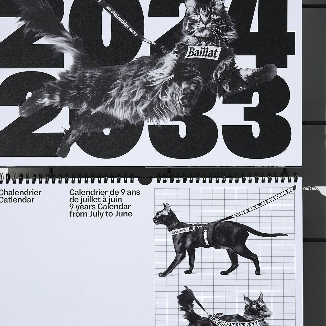 Print Design for Catlendar 2024