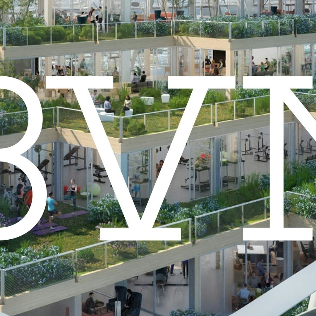 Brand Transformation for BVN