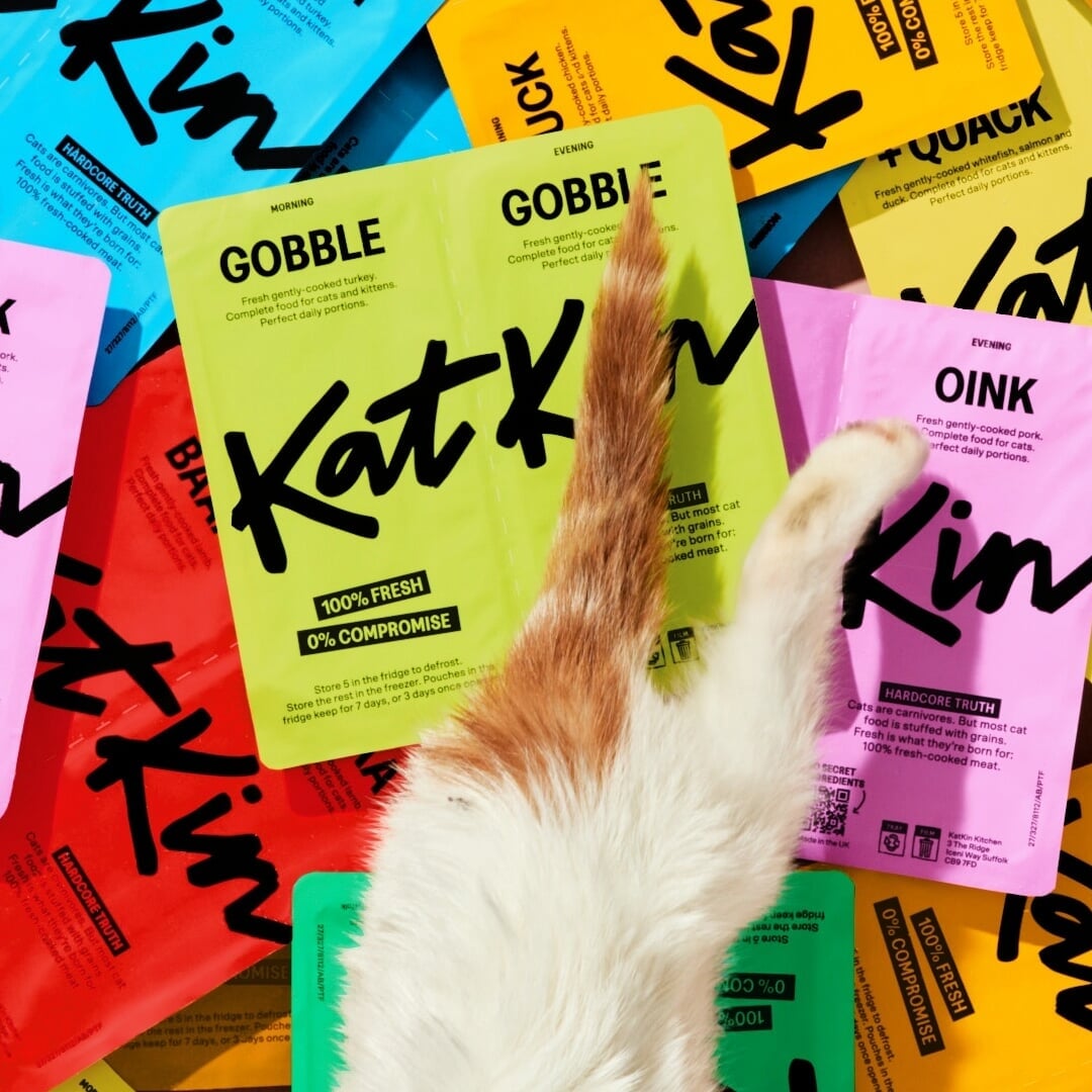 Brand Identity and Packaging for KatKin Cat-Care Brand