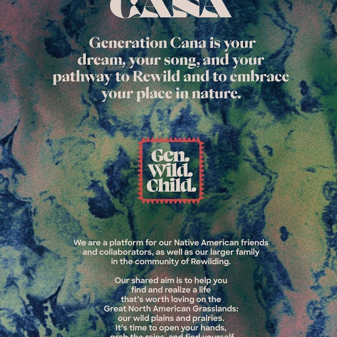 Brand Creation and Campaign for Generation Cana