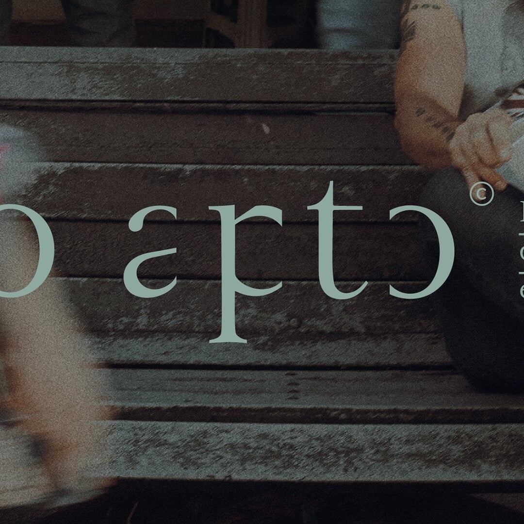 Brand Identity for No Apto Medio