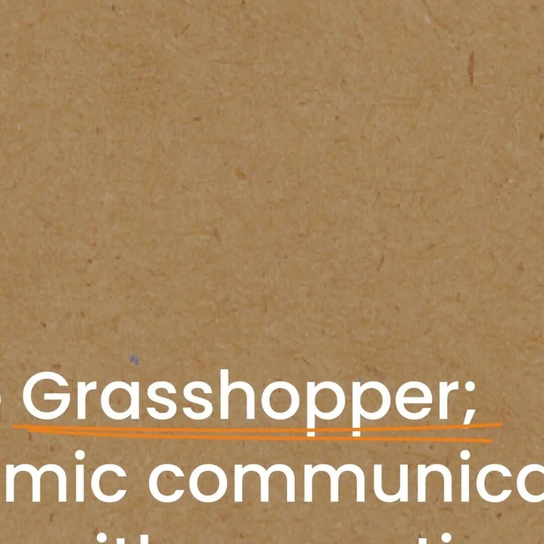 Brand Identity and Website for a Community Engagement Agency