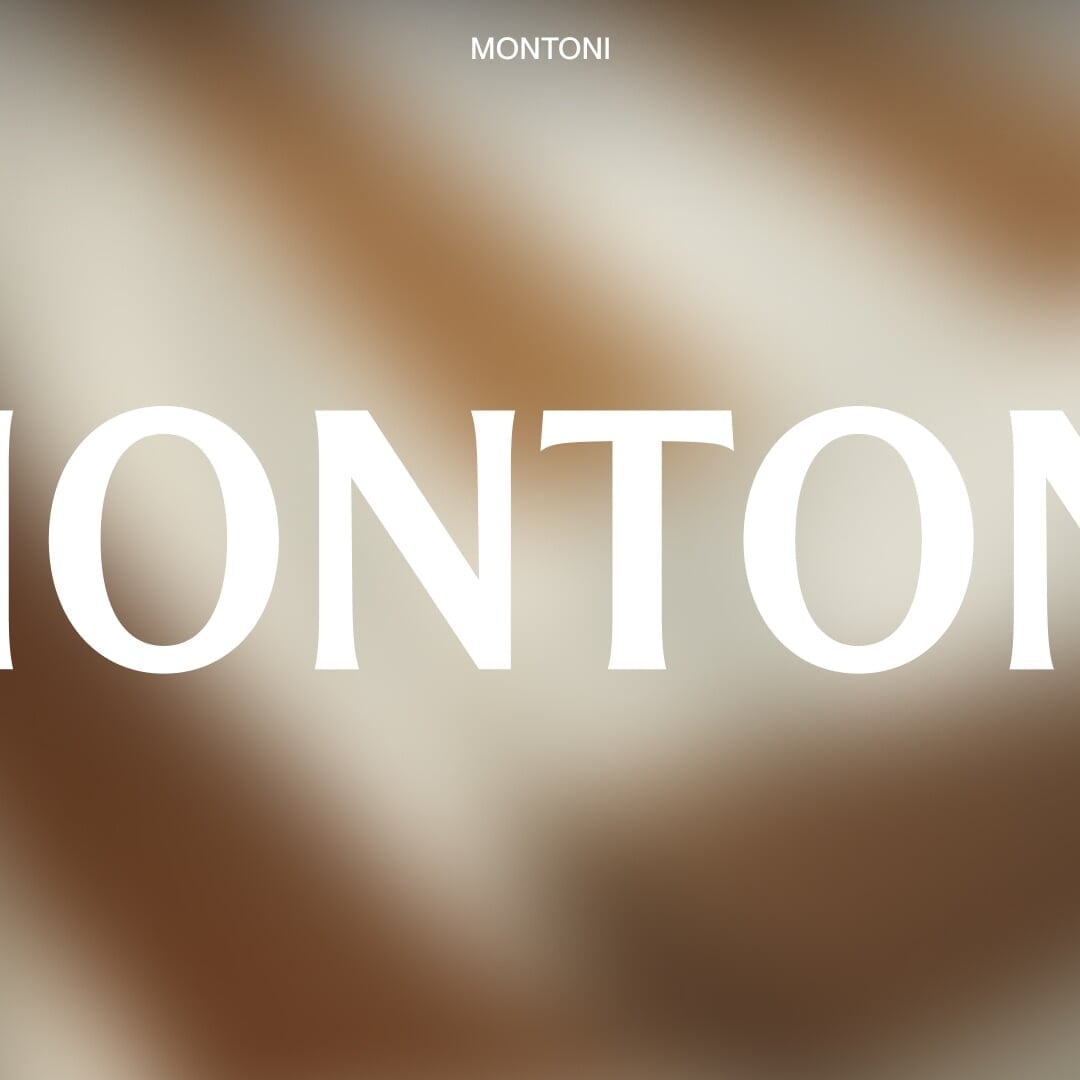 Brand Identity and Digital Platform for Montoni