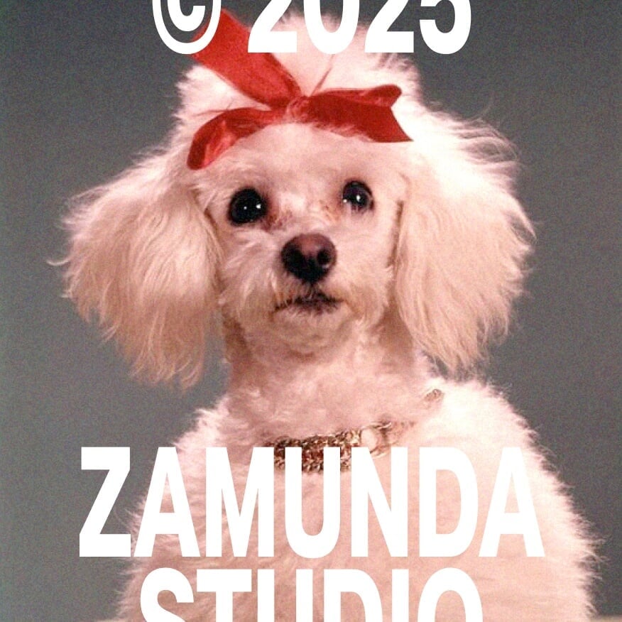 Brand Identity for Zamunda Audiovisual Studio