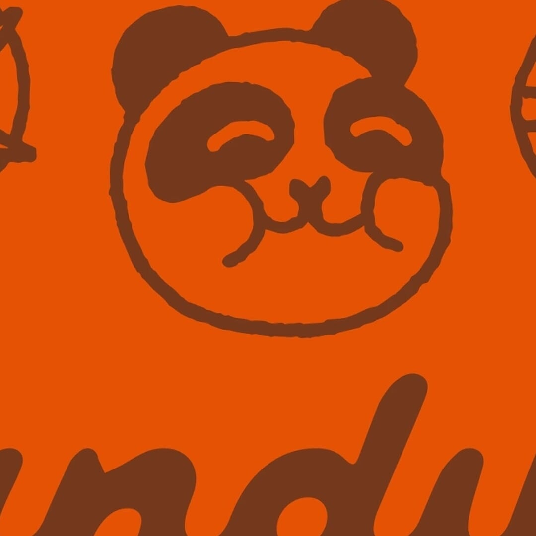 Brand Identity and Strategy for Pandilla