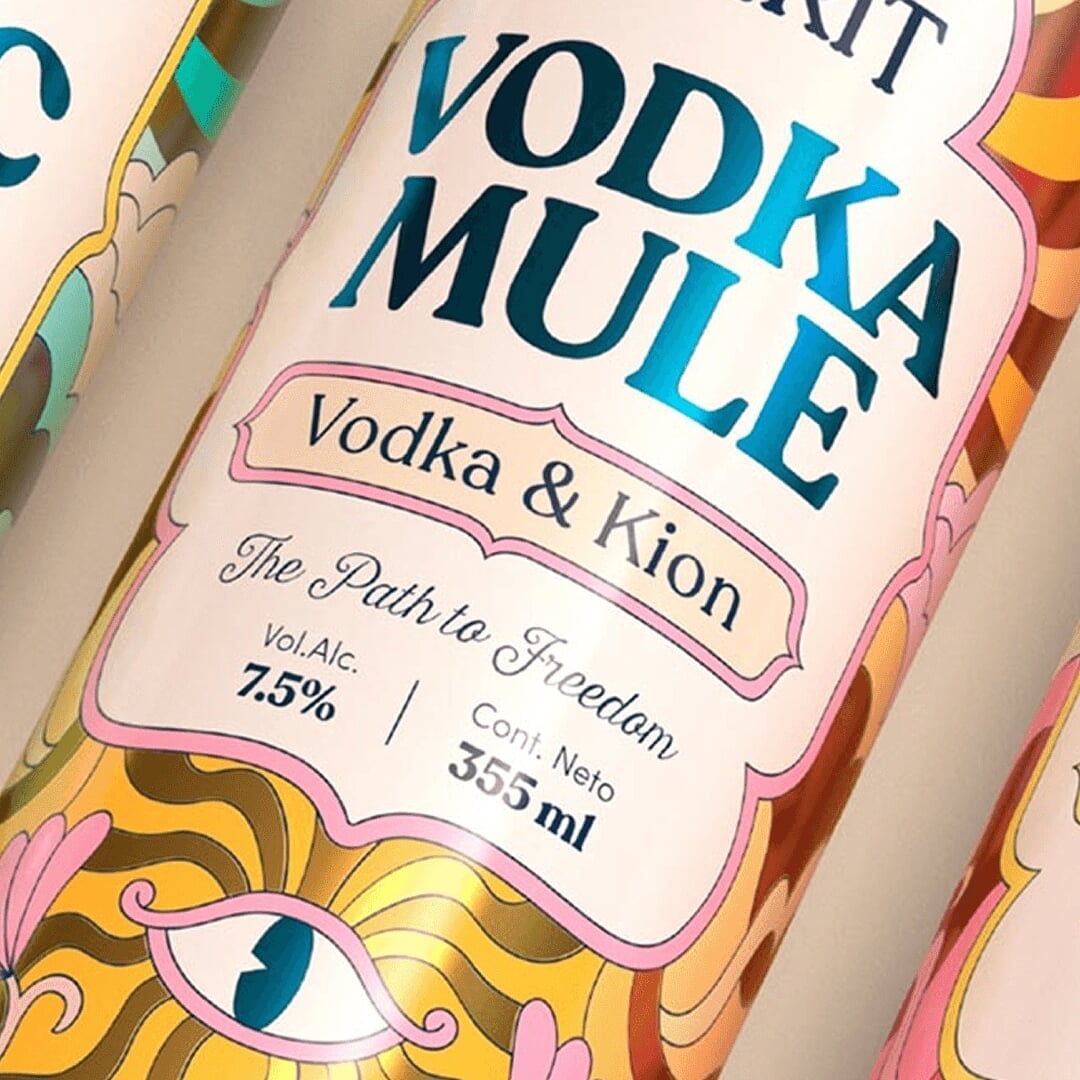 Brand Identity and Strategy for Indie Spirit
