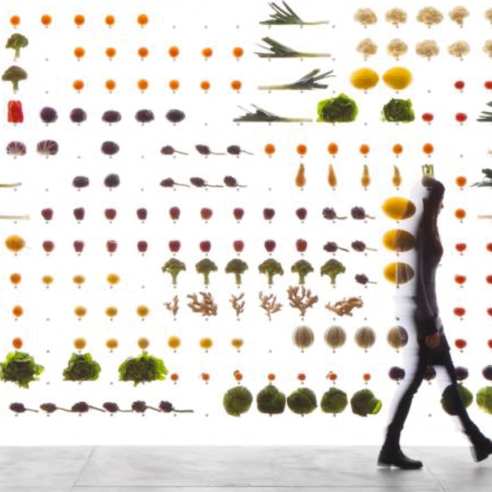 Website Redesign for Arclinea