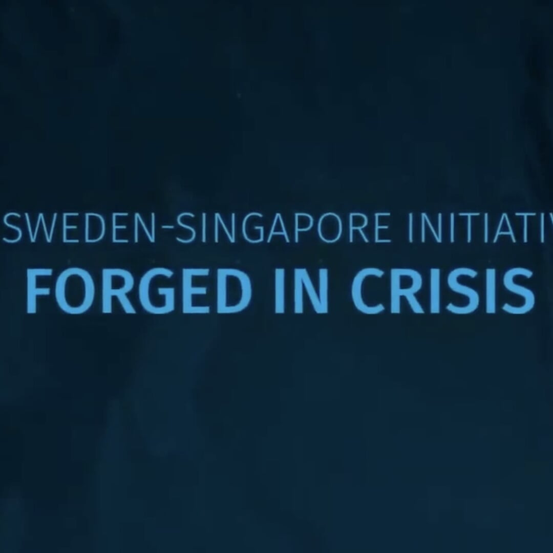 Cross-Cultural Campaign for the Singapore-Sweden Initiative
