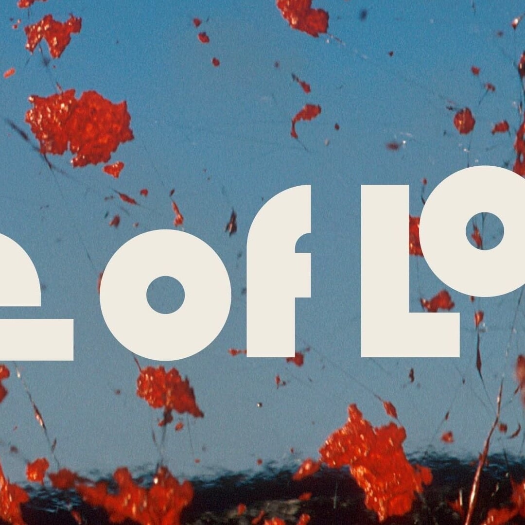 Key Art for National Geographic's Fire of Love