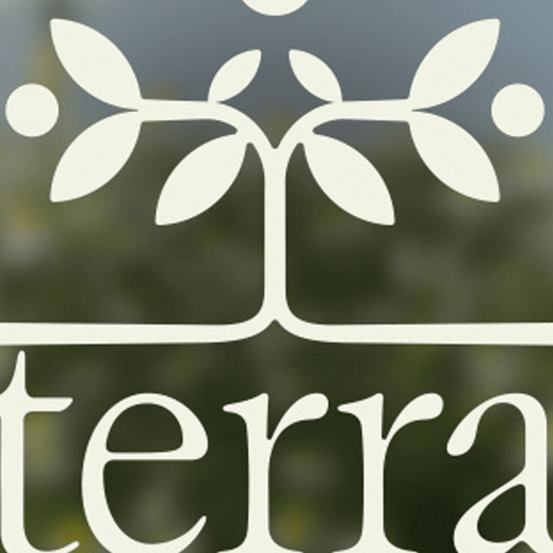 Brand Identity for a Sustainable Tea Sourcing Company