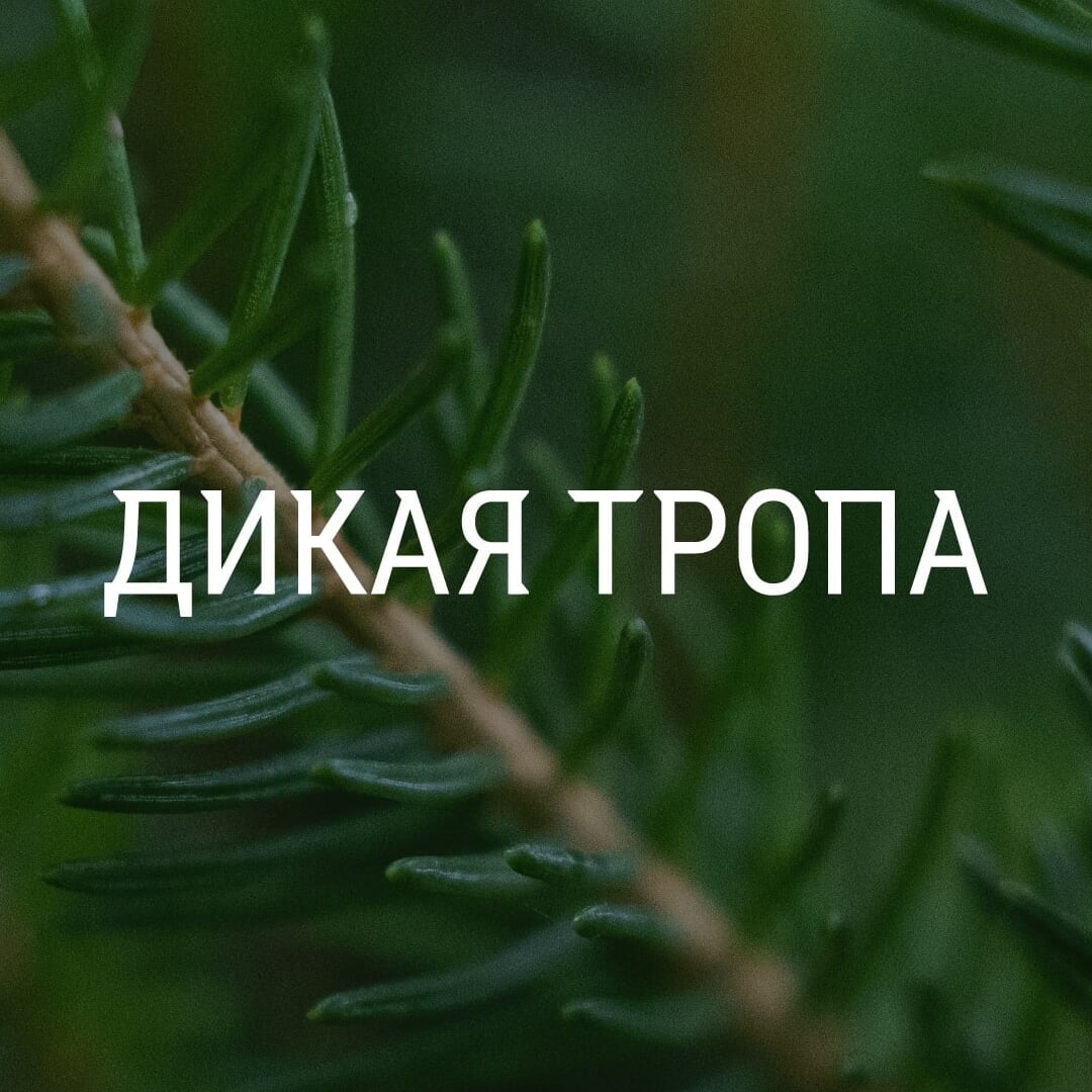 Brand Identity for Dikaja Tropa Tourist Complex
