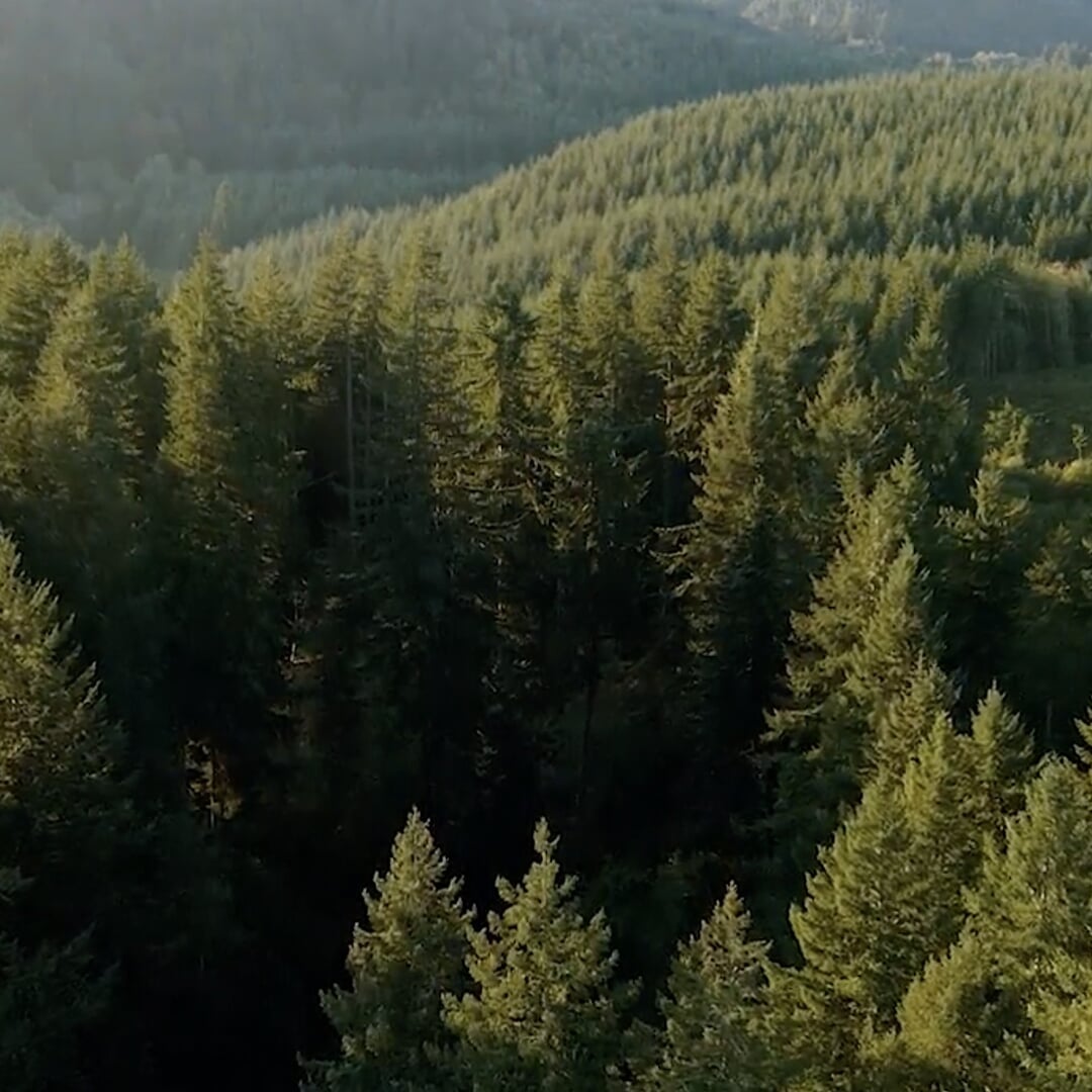 Documentary Production for VanEck and Pacific Forest Trust