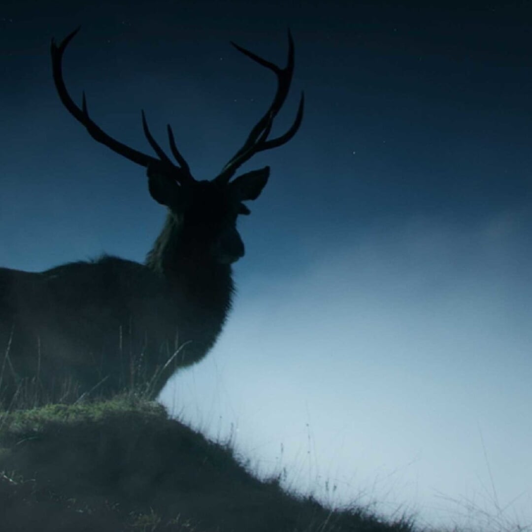Main Title Design for Outlander On STARZ