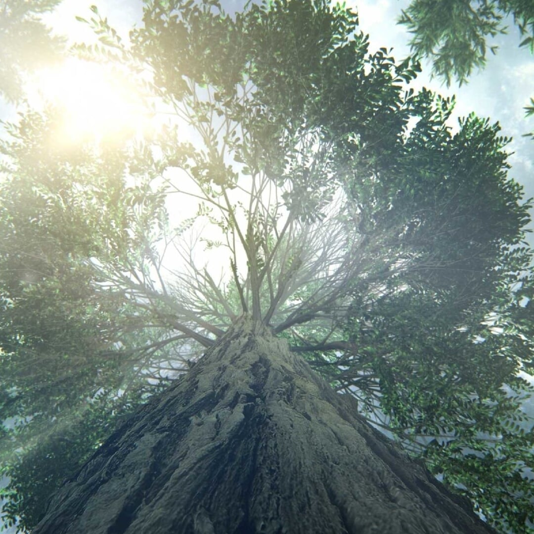 Cinematic Campaign for Dolby Cinema