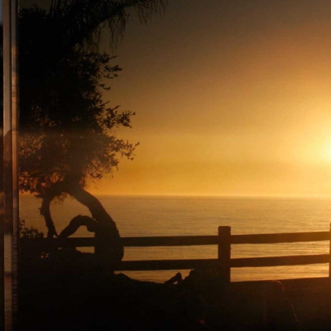 Motion Design for Tropicana Flipbook Campaign