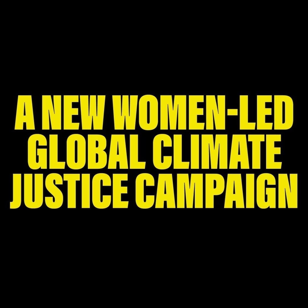 Visual Identity for Project Dandelion Climate Campaign