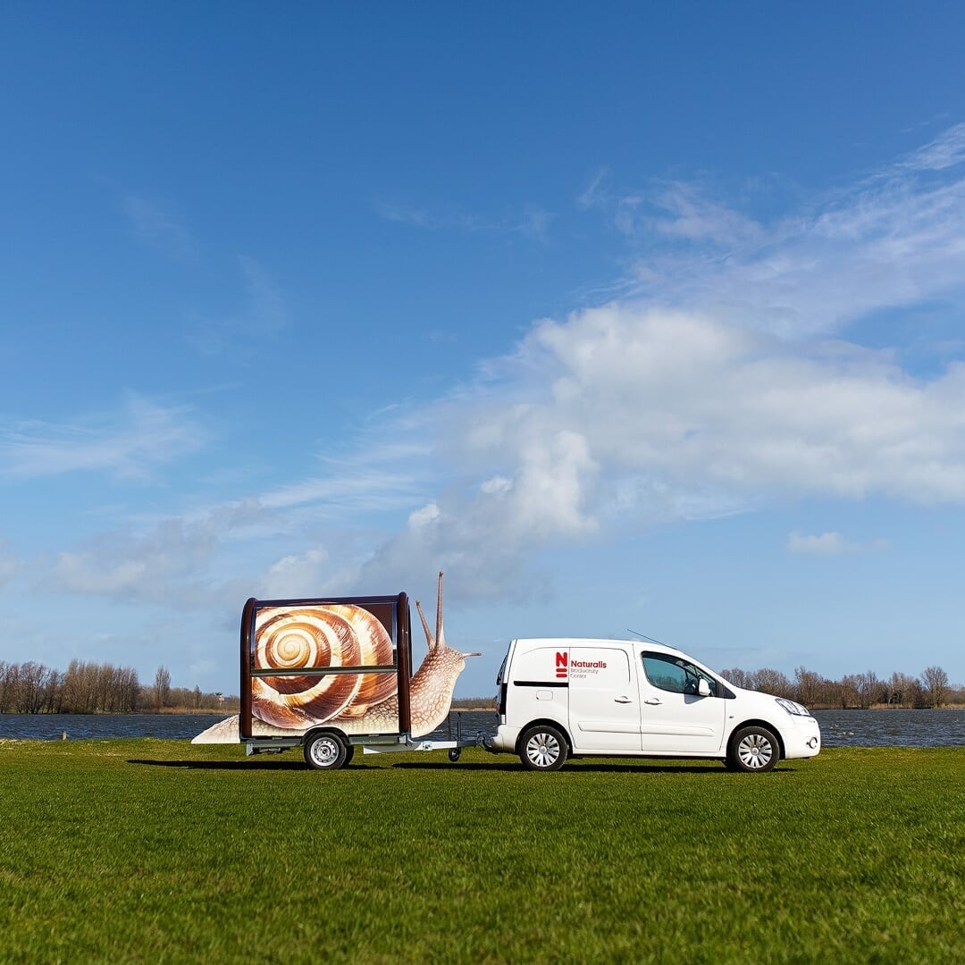 Mobile Exhibition Design for Naturalis Biodiversity Center