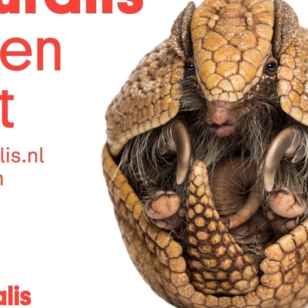 Campaign for Naturalis Museum Renovation