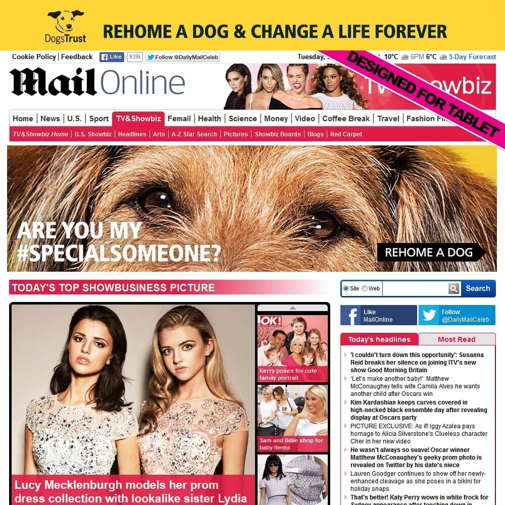 Integrated Campaign for Dogs Trust #SpecialSomeone