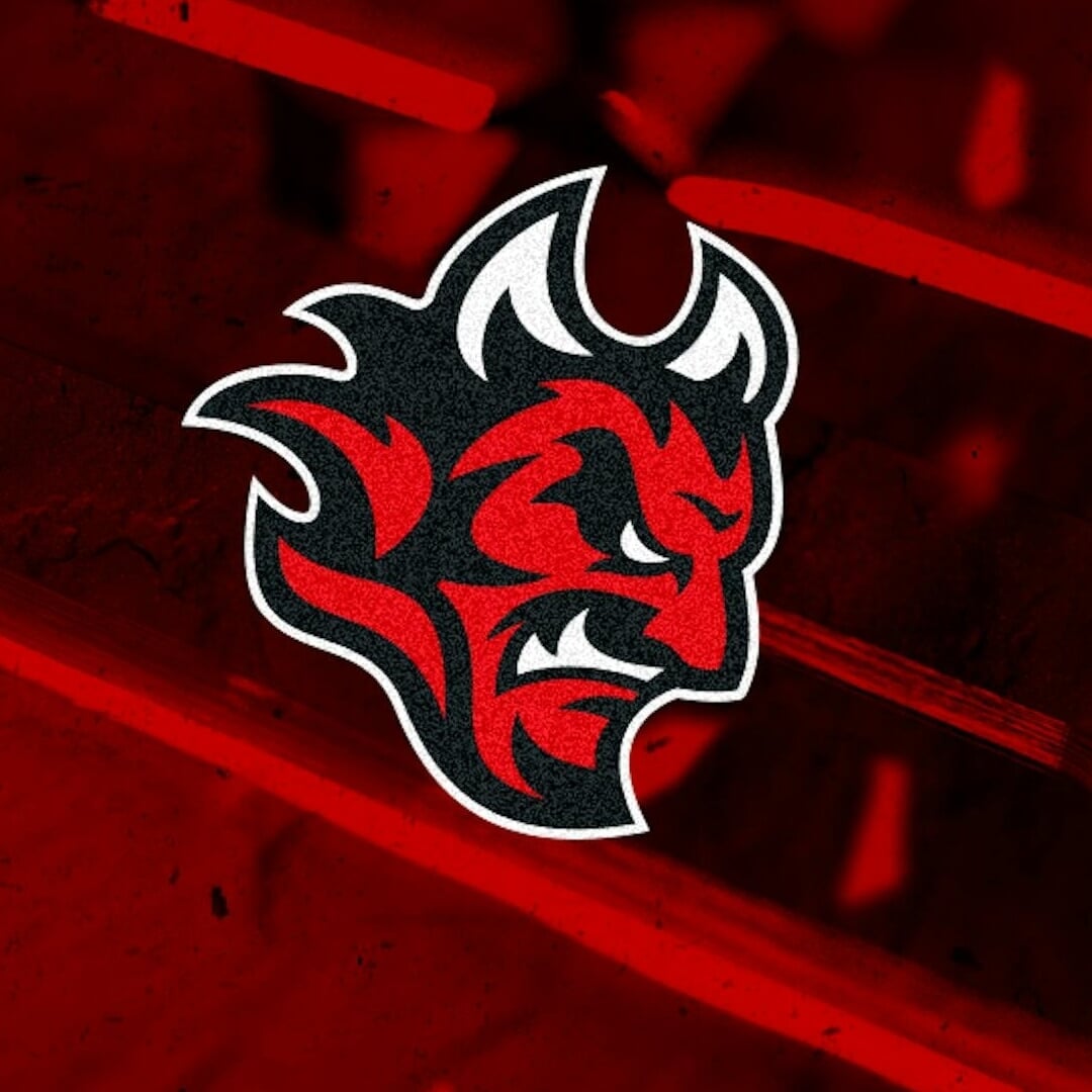 Brand Identity and Website for Cardiff Devils