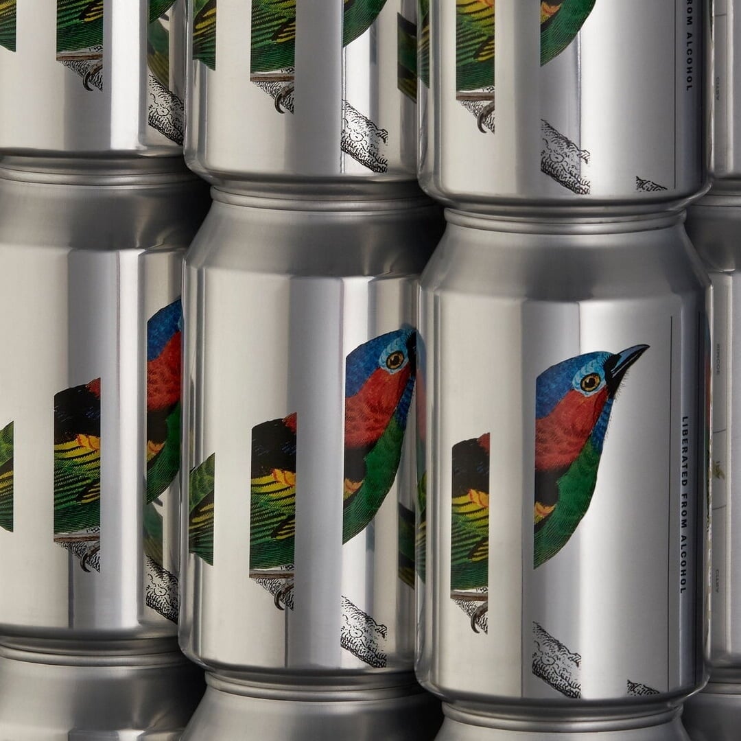 Packaging Design for Oddbird Tanager IPA