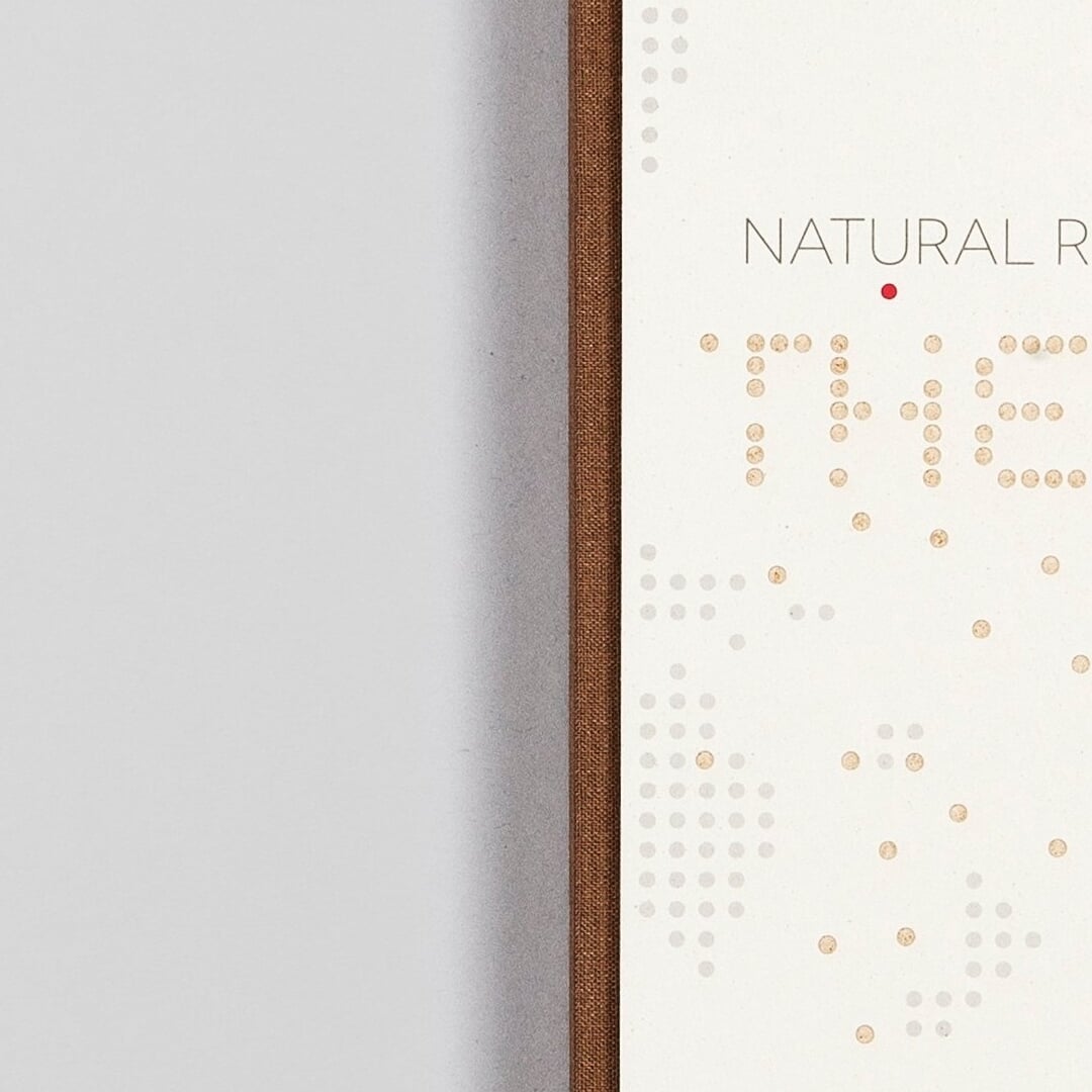 Editorial Design for Natural Recall Book