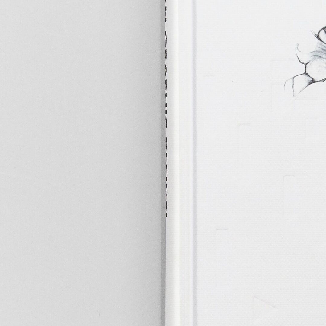 Publication Feature for Scandinavian Graphic Design