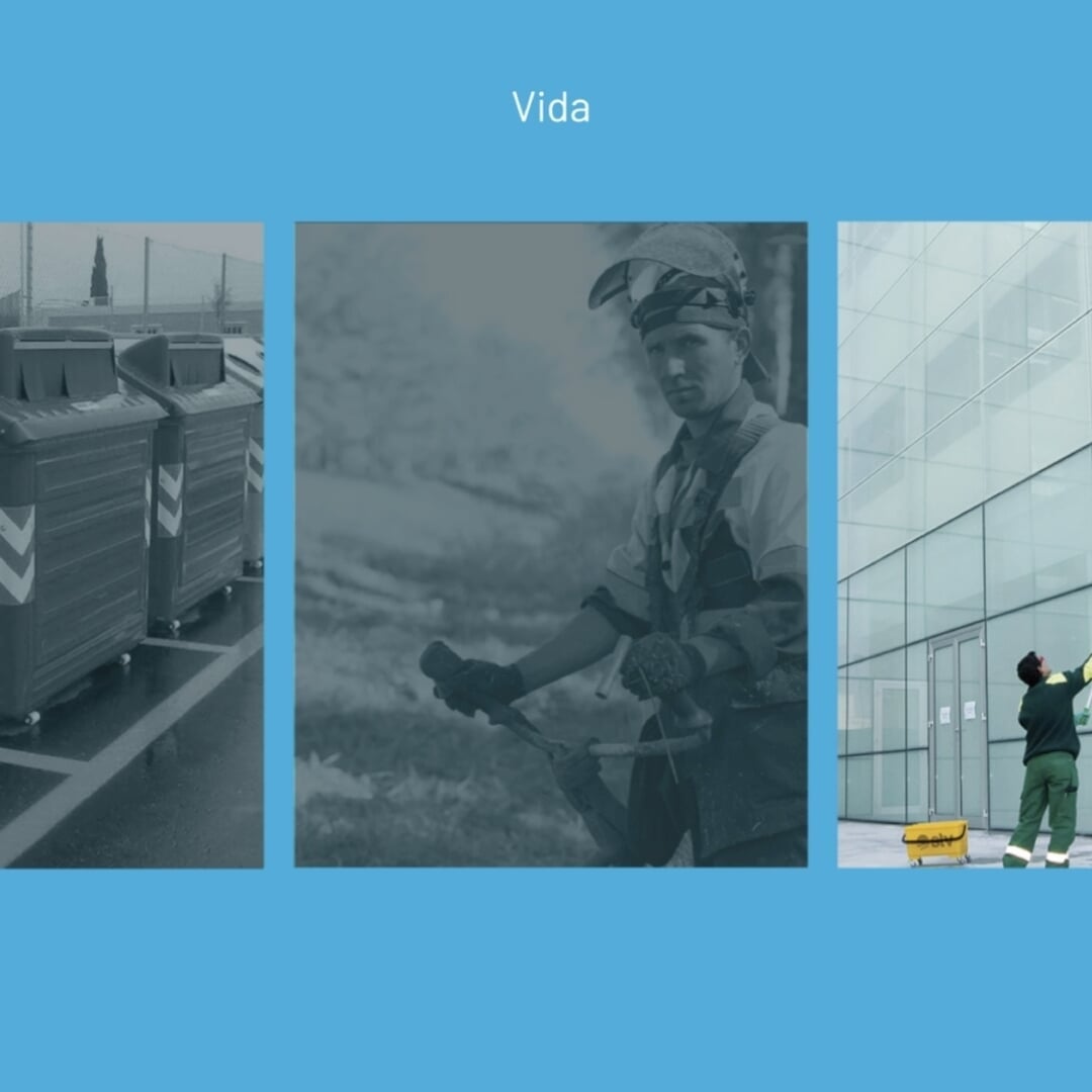 Website Design for STV Gestión