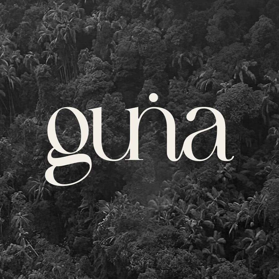 Logo and Website Design for Guna Space