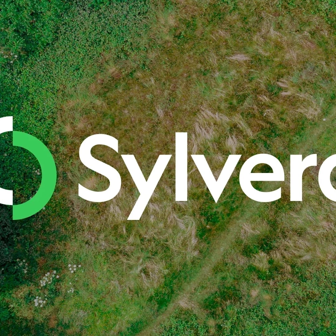 Brand Identity for Carbon Data Platform Sylvera