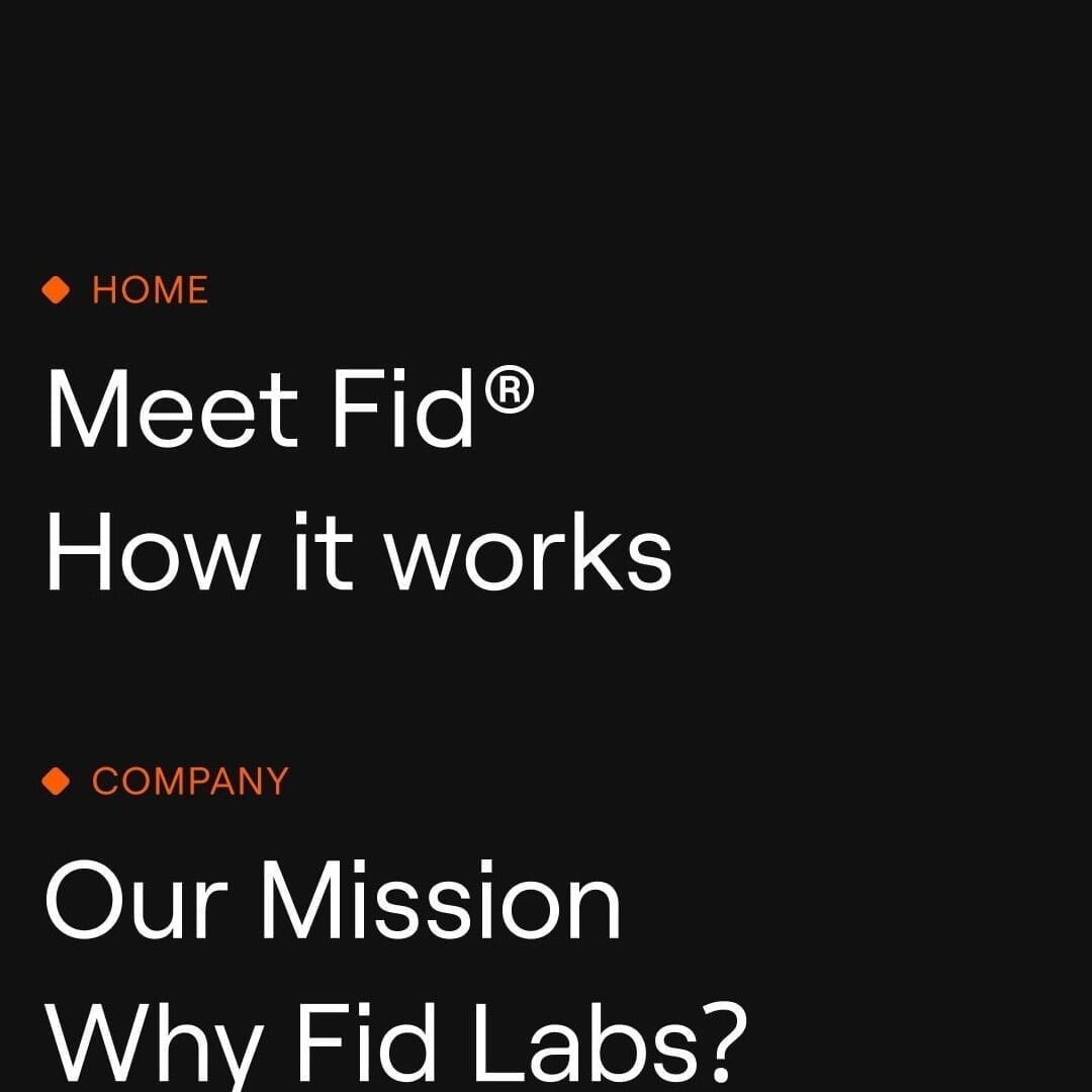 Brand Identity and Website Design for Fid Labs