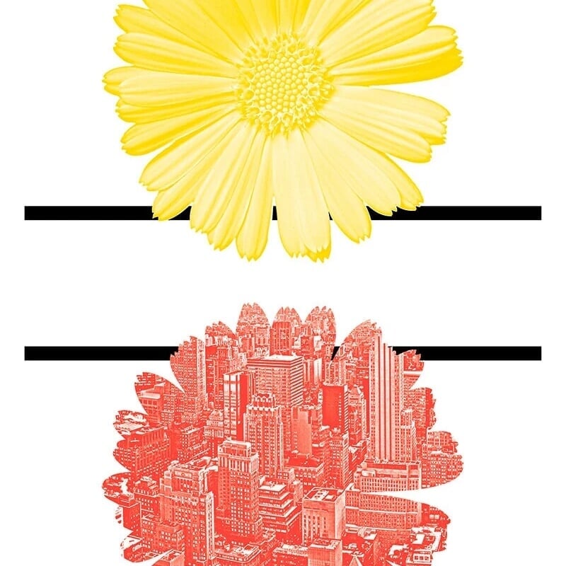 Poster Contribution for Nature and the City