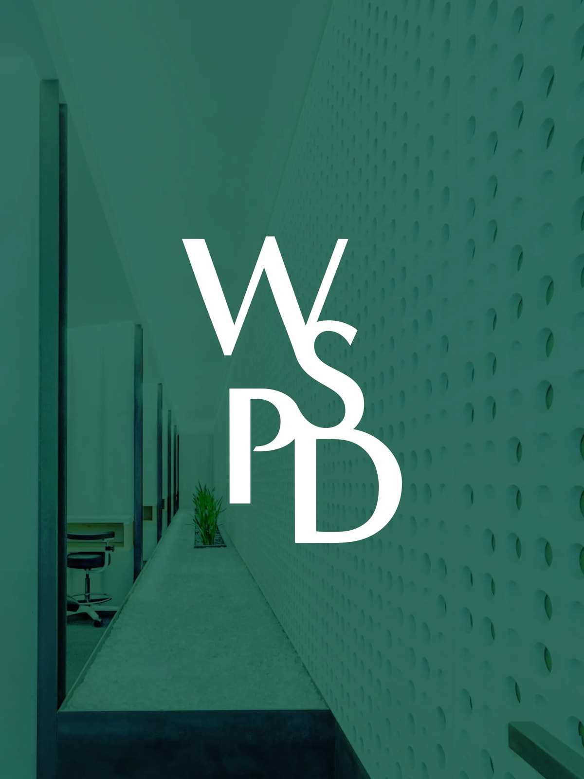 Visual identity for WSPD