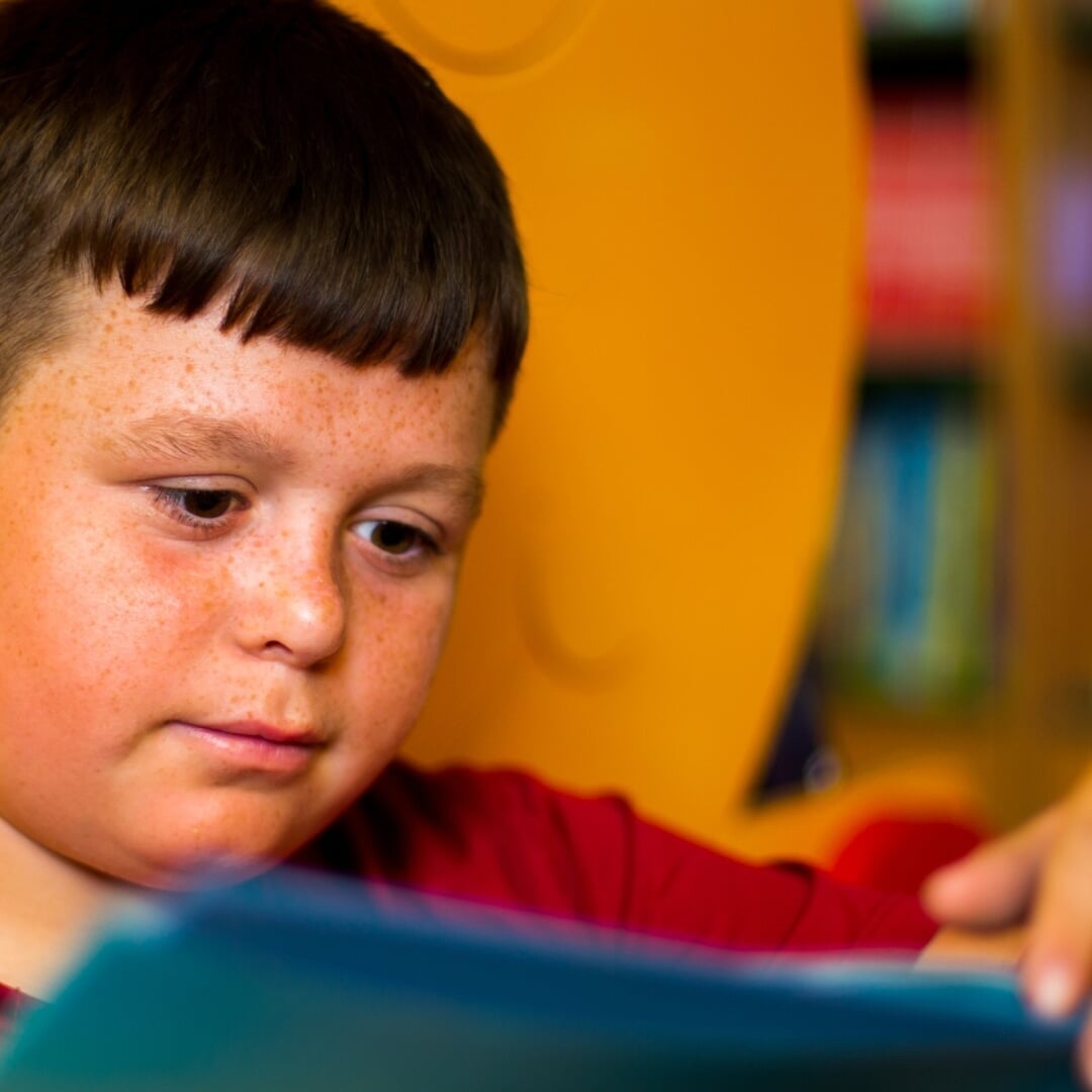 Website Design and Development for Children's Books Ireland