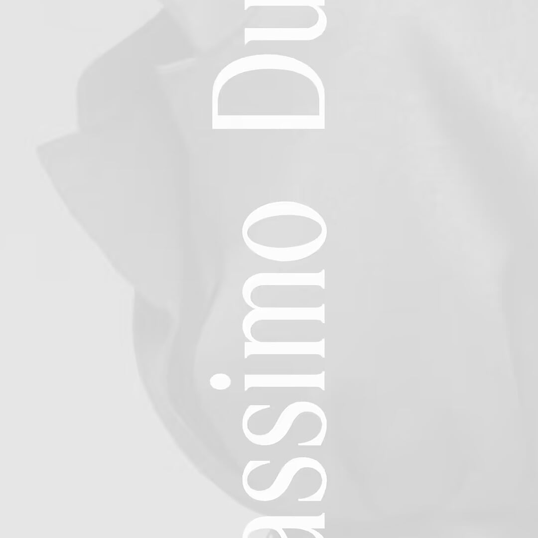 Website Design for Massimo Dutti