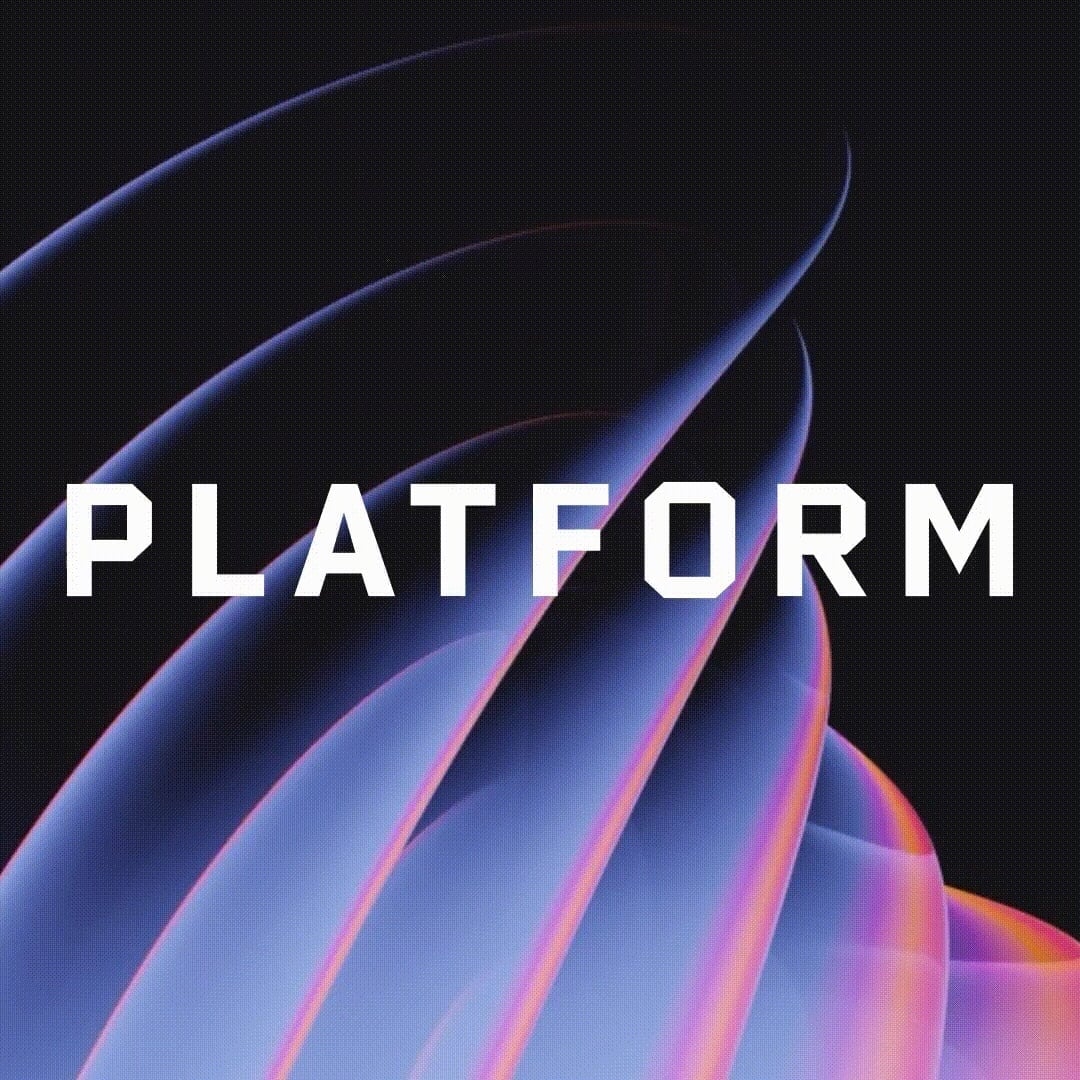 Visual Identity for Platform Digital Agency