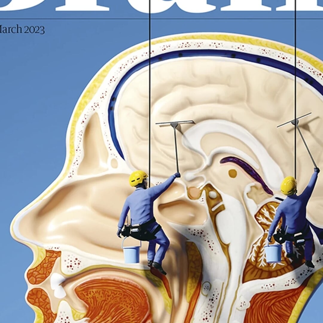 Editorial Design for the Guardian Brain Issue
