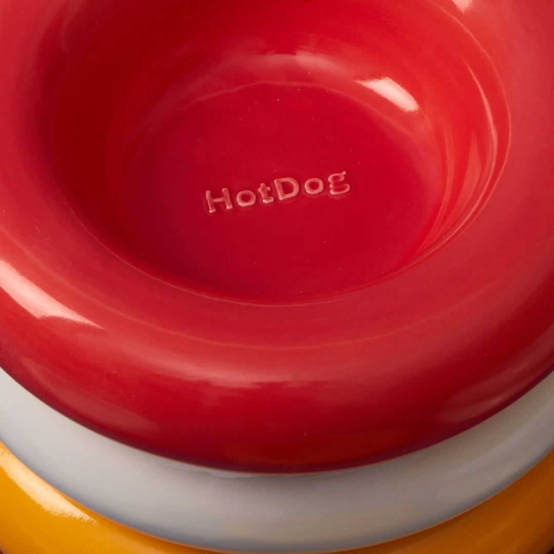Brand Identity for HotDog Lifestyle Pet Accessories
