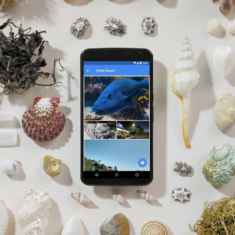 Content Films for Google Local Guides