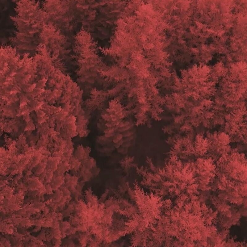 Film Campaign for Johnnie Walker Red Rye