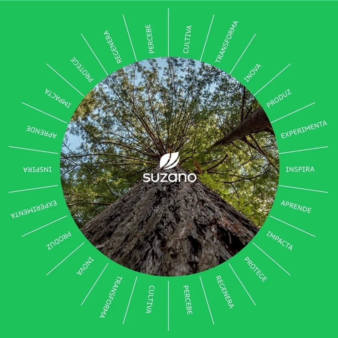 Brand Identity for Suzano