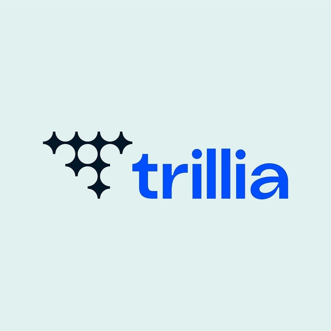 Brand Identity for B3’s Trillia Data Intelligence Platform