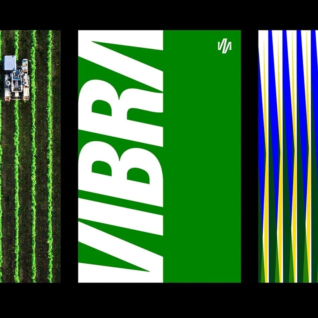Brand Identity for Vibra’s Post-Petrobras Independence