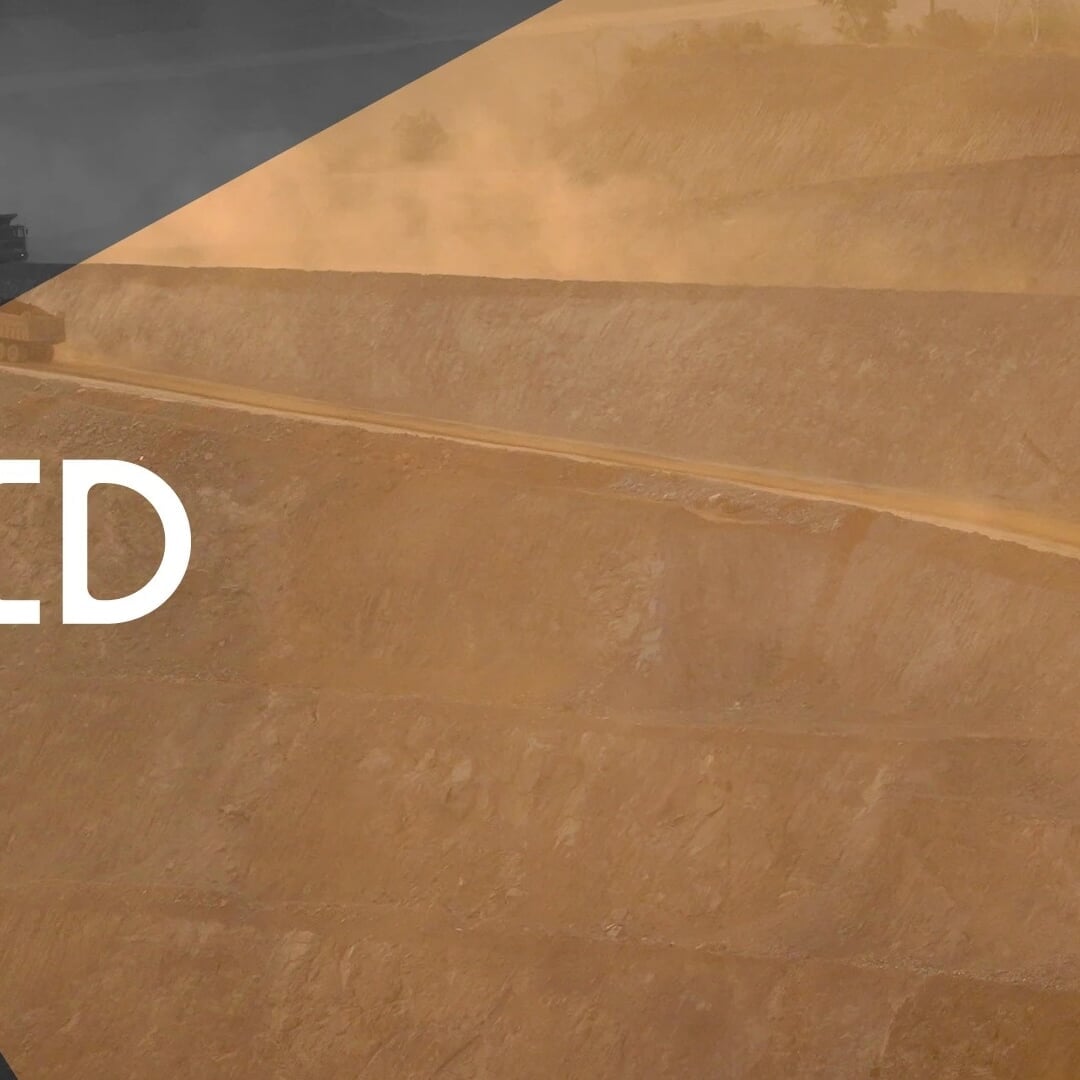 Visual Identity for Corporate Watchdog RAID