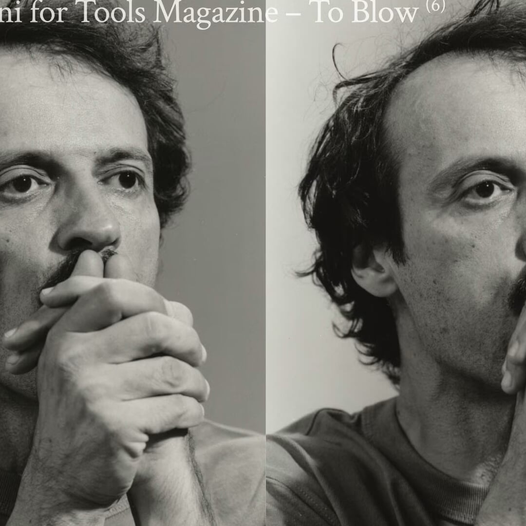 Art Direction for Whistling with Birds