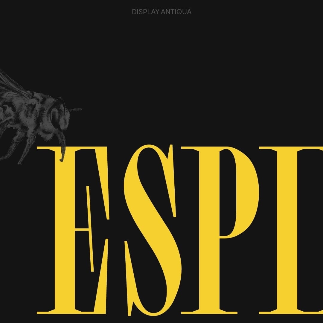 Typeface Design for TT Espina
