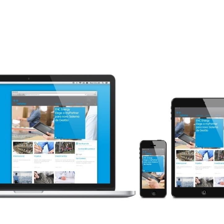 Website Redesign for MyPartner