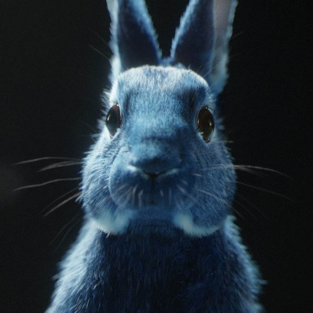 Interactive Campaign for O2 OnePlus 3 Launch